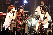 ＴＨＥ　ＢＯＨＥＭＩＡＮＳ「ロックンロールアイドル ムッシュかまやつと衝撃共演」1枚目/2