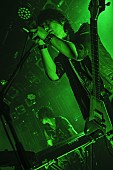 BOOM BOOM SATELLITES「BOOM BOOM SATELLITES 初の日本武道館公演決定」1枚目/5