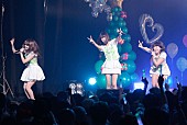 「Negicco」3枚目/26
