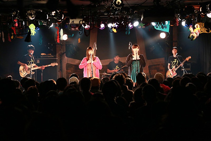 「タルトタタン」4枚目/12