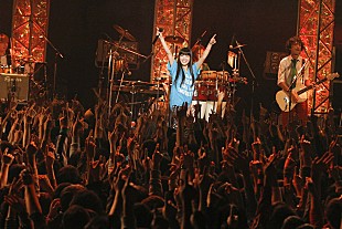 「miwa 来年、大学卒業後に初の日本武道館公演」