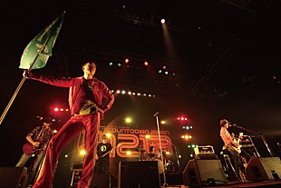 「ヘルマン　復活の1年を華麗にポップに締めくくる」