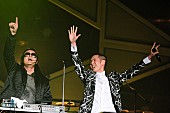 リンゴ・スター＆ヒズ・オール・スター・バンド「FAR EAST MOVEMENT」11枚目/21