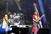 SCANDAL「SCANDAL 夢舞台で感涙、「何の根拠もなく言っていたけど、今、ここにたっています」」1枚目/7