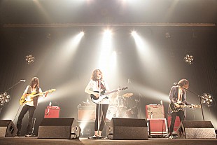 「ドレスコーズ 初ツアー終結「芸術家ってのは未来をみせる仕事だから」」