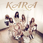 ＫＡＲＡ「シングル『バイバイ ハッピーデイズ！』　初回盤A」4枚目/10