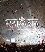 ＫＡＲＡ「『KARASIA 2013 HAPPY NEW YEAR in TOKYO DOME』　Blu-ray通常盤」8枚目/10