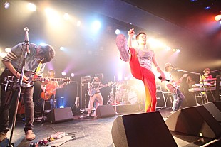 「ヘルマンH、 8年ぶりのワンマンで示した“無能の行方”」