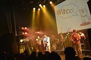 「wacci ワンマンで新曲披露、女性を口説く法則も伝授!?」