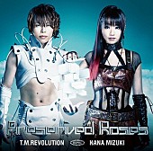 水樹奈々「シングル T.M.Revolution×水樹奈々『Preserved Roses』 初回生産限定盤」11枚目/13