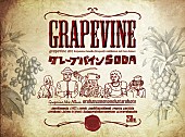 GRAPEVINE「」2枚目/5