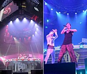 ＴＥＡＭ　Ｈ「チャン・グンソクによるプロジェクトTeam Hが韓国公演を開催」1枚目/1