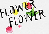 ＦＬＯＷＥＲ　ＦＬＯＷＥＲ「FLOWER FLOWER」2枚目/18