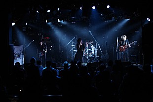 「蟲ふるう夜に 新曲や衝撃曲「犬」などで観客を魅了」