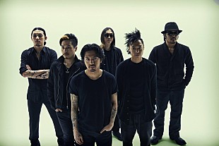 「Dragon Ash 初ライブDVD＆BDの収録曲を発表、トータル200分超」