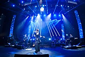 ＧＡＲＮＥＴ　ＣＲＯＷ「グランキューブ大阪 メインホール（大阪国際会議場）」9枚目/28