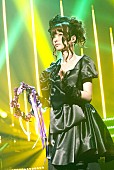 ＧＡＲＮＥＴ　ＣＲＯＷ「グランキューブ大阪 メインホール（大阪国際会議場）」13枚目/28