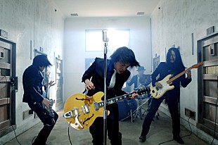 「映画『SADO TEMPEST』主演のジルバが最優秀作曲賞」