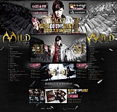 ＧＡＣＫＴ「GACKT 最新ベストアルバム特設サイトがオープン」1枚目/8