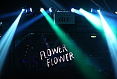 ＦＬＯＷＥＲ　ＦＬＯＷＥＲ「」28枚目/58