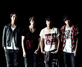 「CNBLUE 待望のメジャー2ndアルバム発売決定」1枚目/4