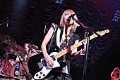 「SCANDAL 武道館公演を前に、初のベスト盤＆シングル発売」1枚目/2