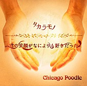 Ｃｈｉｃａｇｏ　Ｐｏｏｄｌｅ「シングル『タカラモノ / 君の笑顔がなによりも好きだった』　通常盤」3枚目/4