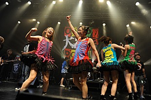 「最強のご当地アイドル ひめキュンが歴戦2バンドとの共演実現」