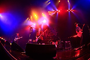 「もしもロックンロールが足りないのなら…。斉藤和義vsNICO Touches the Wallsのロックに攻める熱い競演」