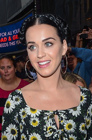 「ケイティ・ペリーのMV「ロアー」に動物擁護団体から抗議」