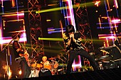 flumpool「デビュー5周年のflumpool 武道館2Daysに2万人、ノンスタ井上やMaydayもお祝いに」1枚目/8