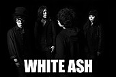 ＷＨＩＴＥ　ＡＳＨ「WHITE ASH 新作からJRA【ジャパンカップ】CM起用のMV解禁」1枚目/2