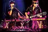 B&#039;z「B&amp;#039;z ベスト選曲25周年ツアーを映像作品化＆トレーラー公開」1枚目/6