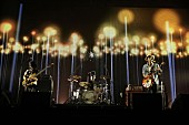 ACIDMAN「ACIDMAN 武道館公演トレーラー公開＆3.11福島ライブ開催決定」1枚目/2