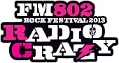 BUMP OF CHICKEN「【RADIO CRAZY】タイムテーブル発表＆FM802にてチケットキャンセル分特別受付！ 」1枚目/2