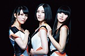 Perfume「Perfume 来年2月に初のミュージッククリップ集発売決定」1枚目/1