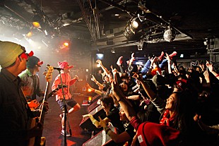 「覆面天狗バンド“ディスビズ”東京ドームでアイドル界へ宣戦布告!?」