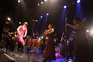 「O.L.H 壇蜜が主演する映画『地球防衛未亡人』主題歌を熱唱」