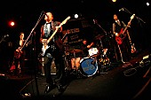 ＴＨＥ　ＲＯＯＳＴＥＲＳ「ザ・ルースターズ、45曲入りDVD2枚組1000セットを緊急発売!!　フジロック&amp;#039;14出演も！」1枚目/2