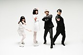 エレファントカシマシ「ゲスの極み乙女。」30枚目/39