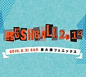 サカナクション「【RUSH BALL】 サカナクション、Czecho No Republic、QUATTROの出演を発表」1枚目/4