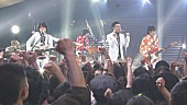 ウルフルズ「NHK『SONGS』に復活のウルフルズ登場、熱狂ライブに「感無量、感無量です」」1枚目/3