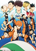 SPYAIR「人気春アニメランキングに『ハイキュー!!』『魔法科高校の劣等生』『ジョジョ』」1枚目/1