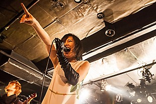 「蟲ふるう夜に×モルヒネ東京 初衝突「未完成な自分を愛していい」」