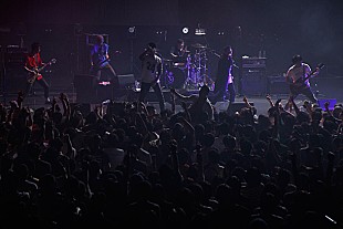 「BACK DROP BOMB ACIDMAN/LITE/locofrankとの競演チケットプレゼント」