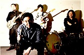 ZAZEN BOYS「秋開催の歌舞伎町フェスにZAZEN BOYS、キノコホテル、大森靖子ら」1枚目/6