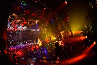 「BUMP OF CHICKEN ドーム公演前にSPワンマン開催「超お待たせ！」」
