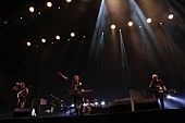 フランツ・フェルディナンド「【FUJI ROCK FESTIVAL &amp;#039;14】初日がスタート、ベースメント・ジャックスやフランツ・フェルディナンドらが華やかなステージを披露」1枚目/7