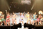 「アップアップガールズ（仮） 夢の中野サンプラザ公演をBD化」1枚目/1