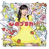 AKB48「シングル『心のプラカード』　Type D 通常盤」32枚目/32